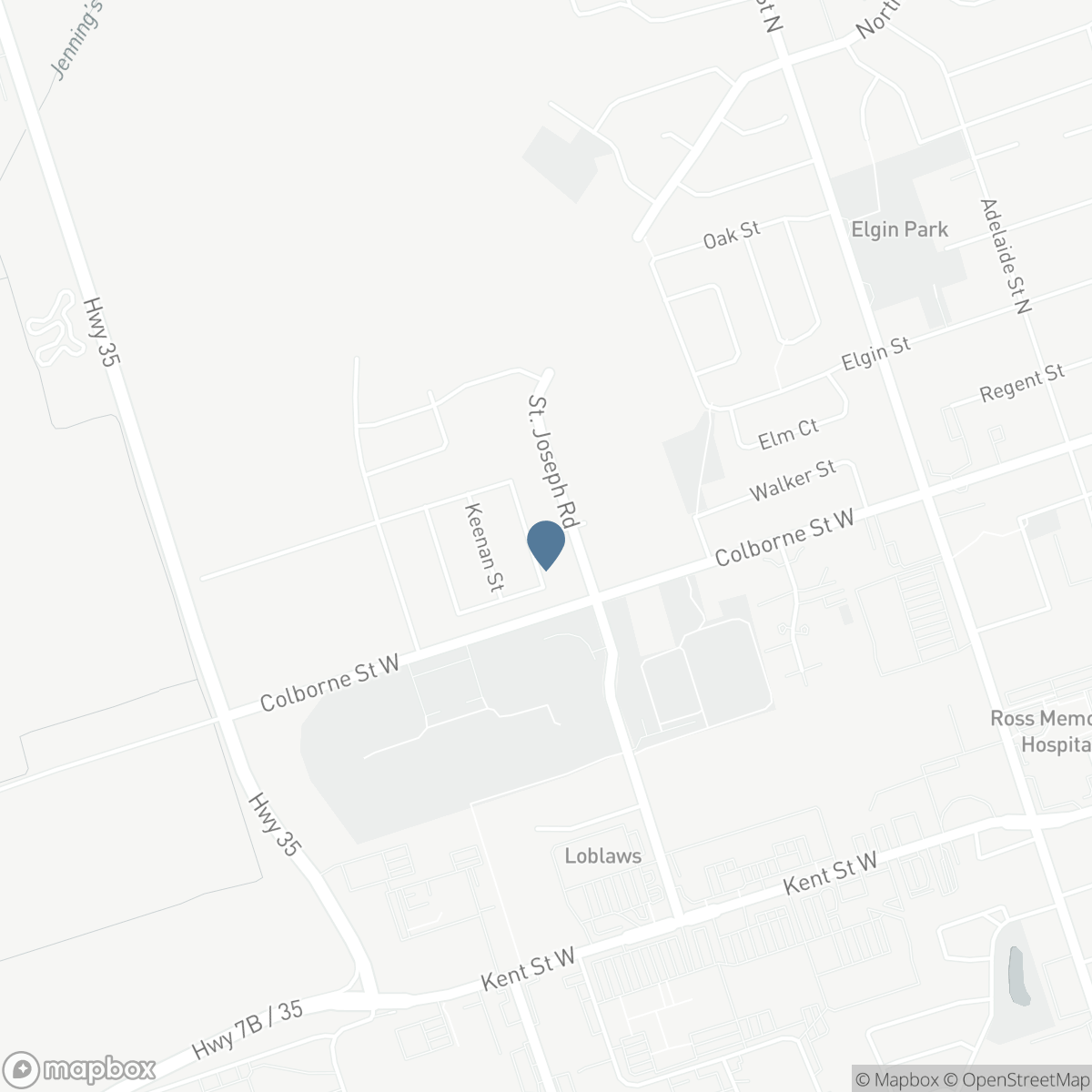 115 CORLEY STREET E, Lindsay, Ontario K9V 0R4